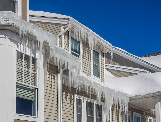 Ice Dams 101: Prevention and Solutions for Minnesota Homeowners
